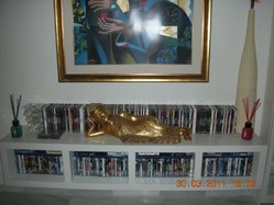 DSCN2498.jpg