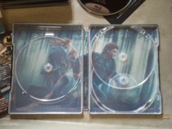 2011-04-08132609.jpg