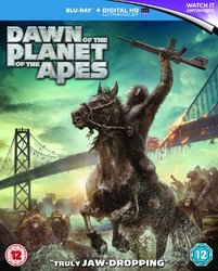 DAWN UK-updated.jpg