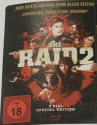 raid2.1.jpg