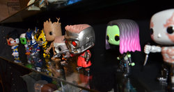 DSC_0213a.jpg