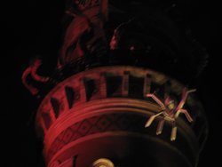 IMG_9381.JPG