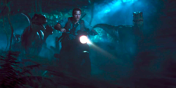 jwbike.png
