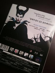 4 - Maleficent Back Slipcover KD.jpg