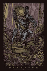 predator.jpeg