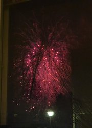 DSC_1733.JPG