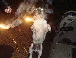 Happy New Years_Cowboy.jpg