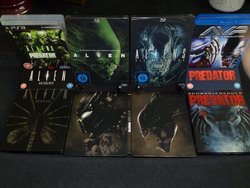 AVP.jpg
