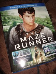 4-Maze_Runner.JPG