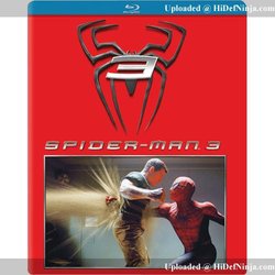 spide2.jpeg