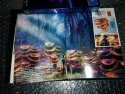 IMG_20150226_163304.jpg
