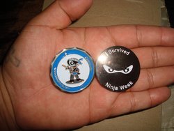 Coins_2.JPG Coins_2.JPG