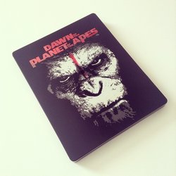 apes.jpg