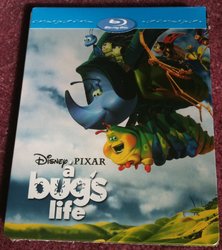 1 - Bug.jpg 1 - Bug.jpg