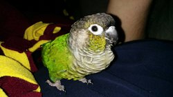 2014-10-29.jpg