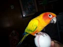 20140315_113947.jpg