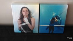 Rust & Bone.jpg