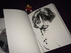 SC2GMB (7).JPG