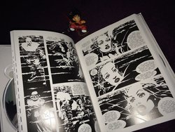 SC2GMB (9).JPG