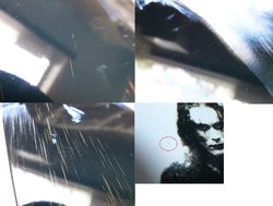 crow 4 damaged.jpg