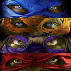 Turtles!.jpg Turtles!.jpg