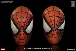 ex-3002011-the-amazing-spider-man-02.jpg