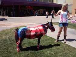 20150525_10015.jpg