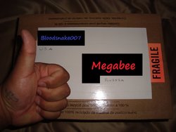 Megabees_Package.JPG Megabees_Package.JPG