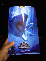 20150611_182207.jpg