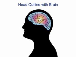 head-outline-with-brain-powerpoint-template_1.jpg head-outline-with-brain-powerpoint-template_1.jpg