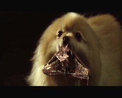 bladetrinity_vampirepooch.jpg bladetrinity_vampirepooch.jpg