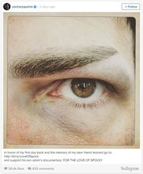 Spock_Quinto.JPG Spock_Quinto.JPG