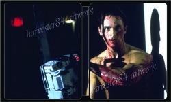 AP Steelbook Inside.jpg