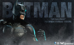 preview_BatmanTDKPF.jpg