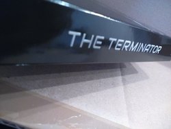T12.jpg