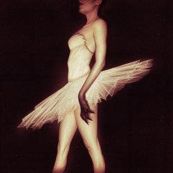 black_swan_1.jpg black_swan_1.jpg