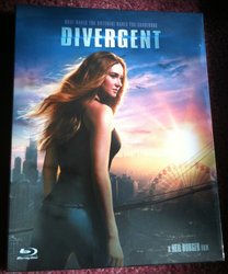 6 - Divergent FRT.jpg