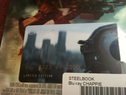 7 - Chappie Numbering Card.jpg 7 - Chappie Numbering Card.jpg