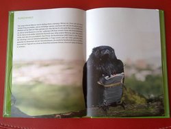 201206152814.jpg
