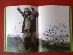 201206152819.jpg