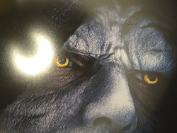 image.jpeg