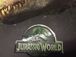 JW2.jpg JW2.jpg