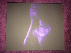 TWUK (7).JPG
