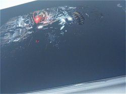 t16.jpg