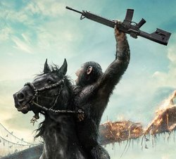 apes.JPG apes.JPG