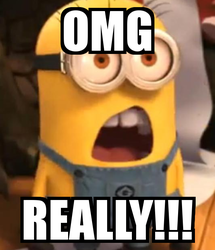 omg-really.png omg-really.png