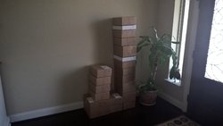 WP_20160205_13_48_41_Pro.jpg