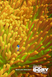 dory_2.jpg dory_2.jpg