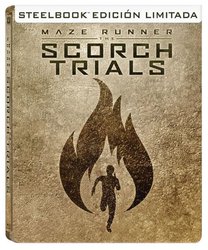 mexico maze runner steel.JPG mexico maze runner steel.JPG