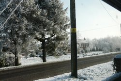 winter 002.jpg